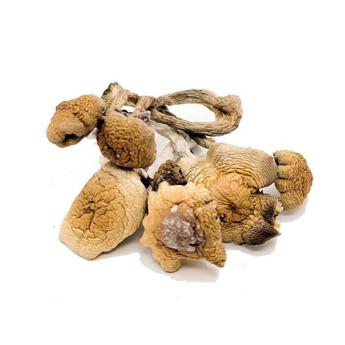 Buy B+ Magic Mushrooms For Sale Denver